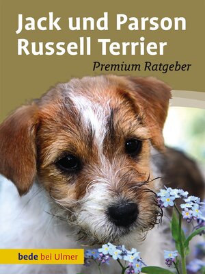 cover image of Jack und Parson Russell Terrier